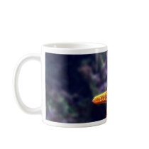 Sea Star In Aquarium Coffee Mugs