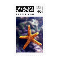 Sea Star In Aquarium Postage Stamp