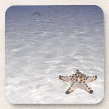 Sea Star on sandy bottom underwater Coaster