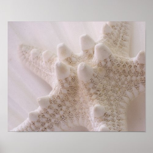 Sea Star print