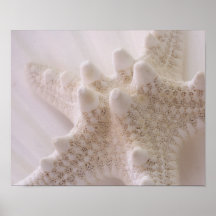 sea star art