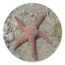 Sea Star Round Stickers