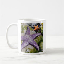 Sea Stars 21x25 Paint2 Shrpnd, Alaska, www.DLWa... Mug