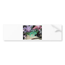 Sea Stars Anemones bumper stickers