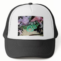 Sea Stars Anemones hats