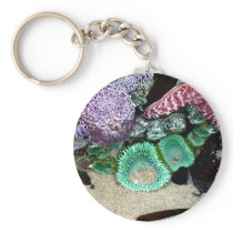 Sea Stars Anemones Key Chain