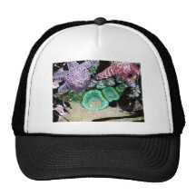 Sea Stars Anemones Mesh Hats