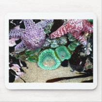 Sea Stars Anemones Mousepad