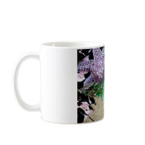 Sea Stars Anemones Coffee Mugs