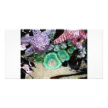 Sea Stars Anemones Customized Photo Card