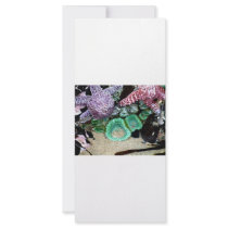 Sea Stars Anemones rack cards