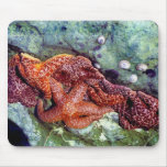 Sea Stars Mousepad