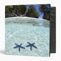 Sea stars, Rock Islands, Palau 2 Binders