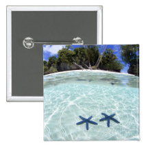 Sea stars, Rock Islands, Palau 2 Pinback Buttons