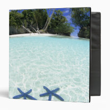 Sea stars, Rock Islands, Palau Vinyl Binder
