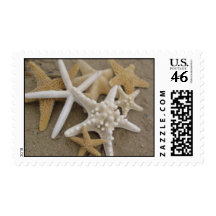 Sea Stars (Starfish) Postage Stamp