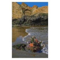 Sea Stars Stationery