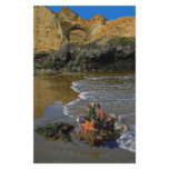 Sea Stars Stationery