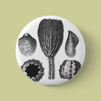 SEA THINGS buttons