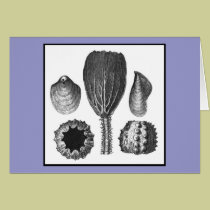 SEA THINGS cards