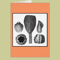 SEA THINGS cards