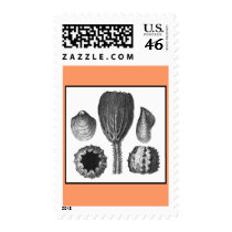 SEA THINGS STAMPS