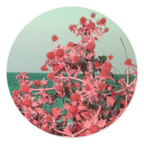 Sea thistle stickers by moonlit Sea thistle stickers