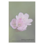 Sea Thrift stationery