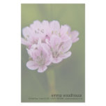 Sea Thrift Stationery Paper