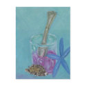 Sea Treasures postcard