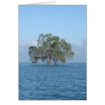 Sea Tree Cards
