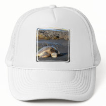 Sea Turtle Baseball Hat
