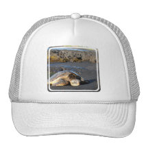 Sea Turtle Baseball Hat