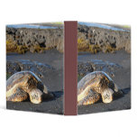 Sea Turtle Binder