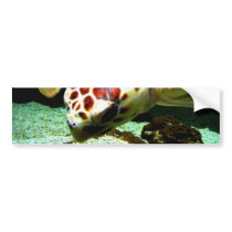 Sea Turtle Bumper Sticker bumper stickers by thehatch Sea Turtle Bumper Sticker bumper stickers