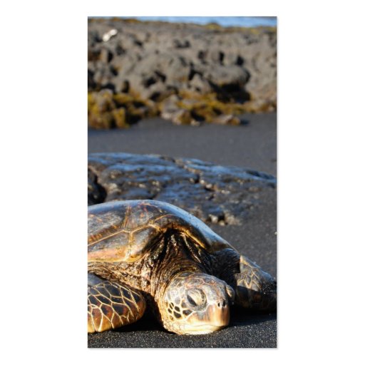 Sea Turtle Business Card (back side)