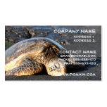Sea Turtle Business Card