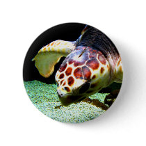 Sea Turtle Button