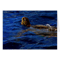 Sea Turtle cards by cbensen Sea Turtle cards