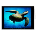 Sea Turtle cards by Soraia Sea Turtle cards