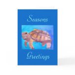 Sea Turtle Cards