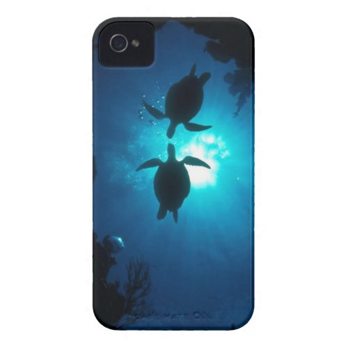 Sea turtle casemate_case