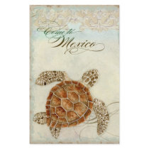 Sea Turtle Coastal Beach DestinationTravel Info Custom Flyer