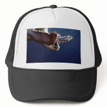 Sea Turtle Diving Mesh Hat