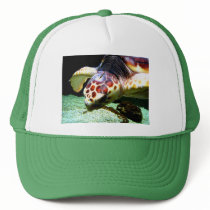 Sea Turtle Hat by thehatch Sea Turtle Hat