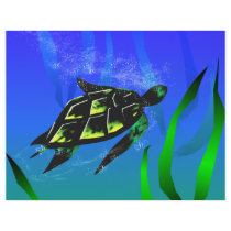 Sea Turtle letterhead