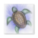 Sea Turtle magnets