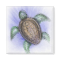 Sea Turtle magnets