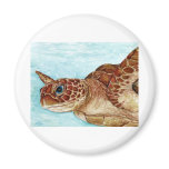 Sea Turtle Fridge Magnets