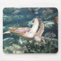 Sea Turtle mousepads by annette1234 Sea Turtle mousepads